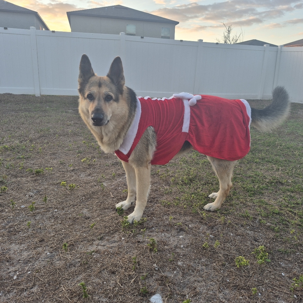 MISS RUBY - Picture 2 of 16
